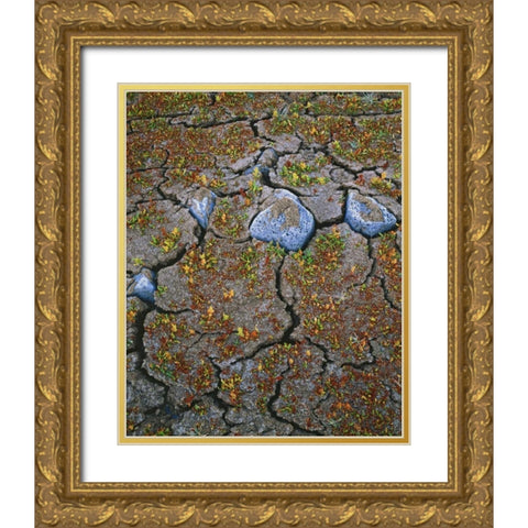 OR, Warner Valley Curly dock plants grow Gold Ornate Wood Framed Art Print with Double Matting by Terrill, Steve