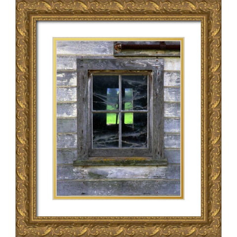 OR, Willamette Valley Old barn window Gold Ornate Wood Framed Art Print with Double Matting by Terrill, Steve