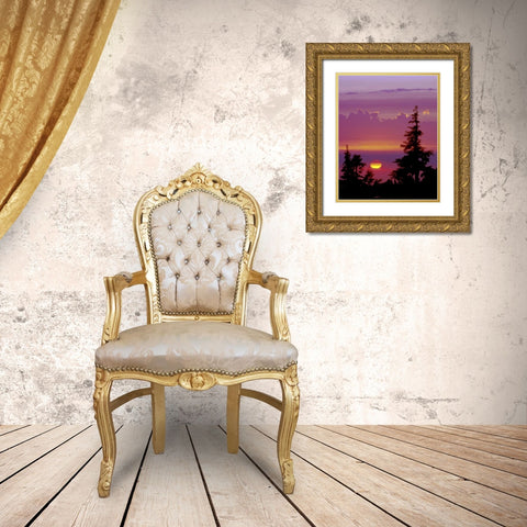 Oregon, Mt Hood Pine trees silhouetted by sunset Gold Ornate Wood Framed Art Print with Double Matting by Kelley, David