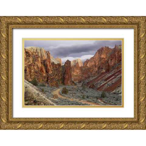 USA, Oregon View of Leslie Gulch Gold Ornate Wood Framed Art Print with Double Matting by Paulson, Don