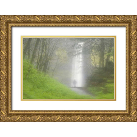 OR, Columbia Gorge Shrouded Latourell Falls Gold Ornate Wood Framed Art Print with Double Matting by Paulson, Don