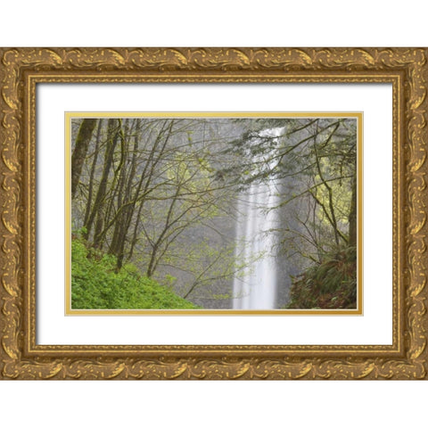 OR, Columbia River Gorge View of Latourell Falls Gold Ornate Wood Framed Art Print with Double Matting by Paulson, Don
