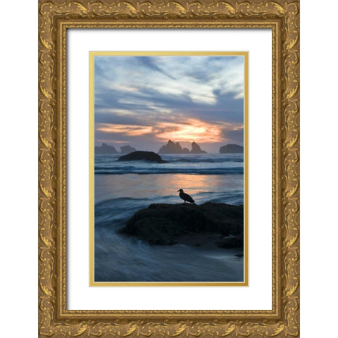 OR, Bandon Beach Seagull silhouette at sunset Gold Ornate Wood Framed Art Print with Double Matting by Rotenberg, Nancy