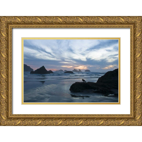 OR, Bandon Beach Seagull silhouette at sunset Gold Ornate Wood Framed Art Print with Double Matting by Rotenberg, Nancy