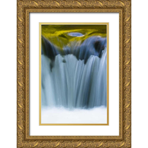 Oregon Reflections in waterfall on Sweet Creek Gold Ornate Wood Framed Art Print with Double Matting by Rotenberg, Nancy