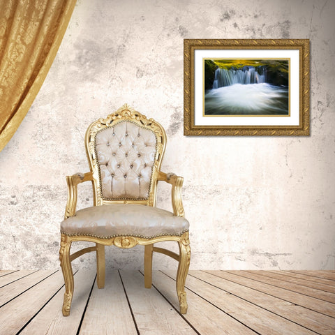 Oregon Reflections in waterfall on Sweet Creek Gold Ornate Wood Framed Art Print with Double Matting by Rotenberg, Nancy