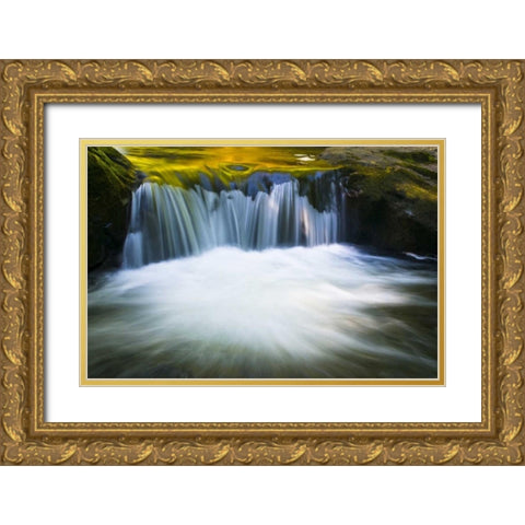 Oregon Reflections in waterfall on Sweet Creek Gold Ornate Wood Framed Art Print with Double Matting by Rotenberg, Nancy