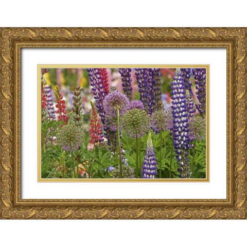 Oregon,Salem Flowers at Schreiners Iris Garden Gold Ornate Wood Framed Art Print with Double Matting by Paulson, Don