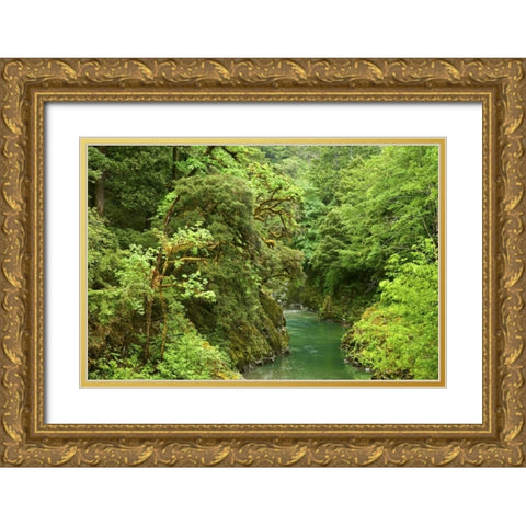 USA, Oregon, Elk River Gold Ornate Wood Framed Art Print with Double Matting by Paulson, Don