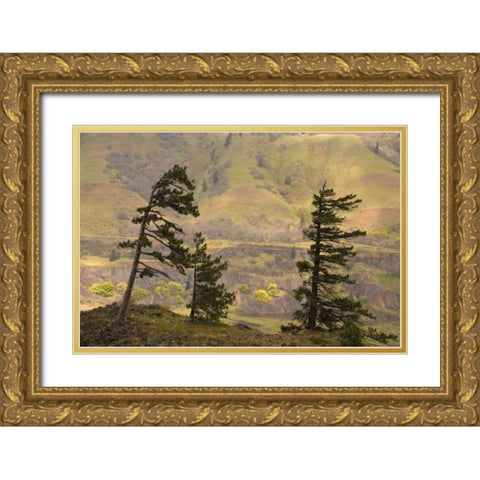 OR, Columbia Gorge Overlook of hills and valley Gold Ornate Wood Framed Art Print with Double Matting by Paulson, Don