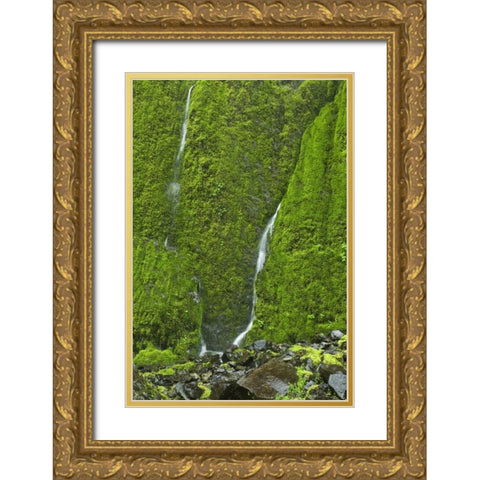 OR, Columbia Gorge Elowah Falls Trail Waterfall Gold Ornate Wood Framed Art Print with Double Matting by Paulson, Don