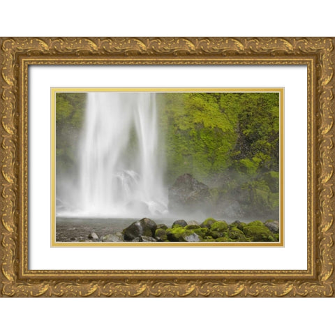 Oregon, Columbia River Gorge Elowah Falls Gold Ornate Wood Framed Art Print with Double Matting by Paulson, Don