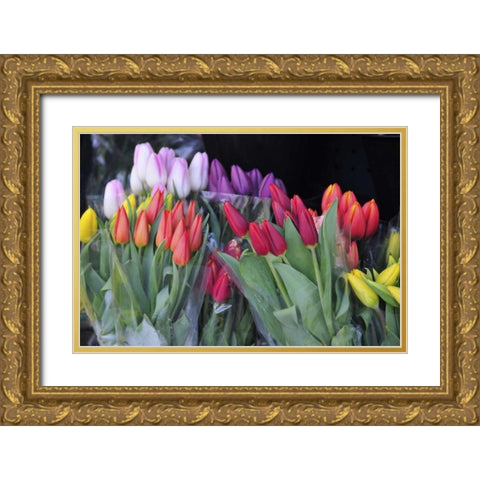 OR, Portland Bouquets of spring tulips for sale Gold Ornate Wood Framed Art Print with Double Matting by Terrill, Steve