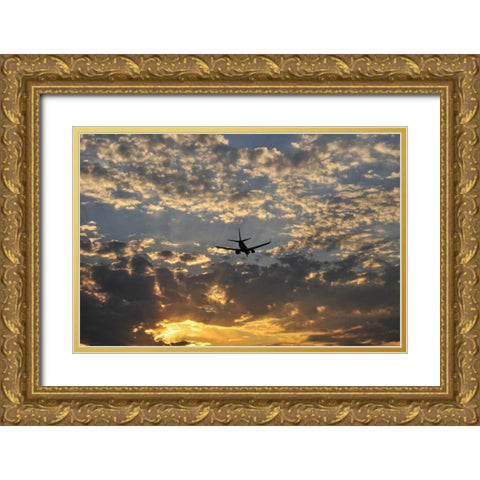 OR, Portland Airplane approaching landing Gold Ornate Wood Framed Art Print with Double Matting by Terrill, Steve