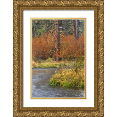 OR, Metolius River Fall along a stream bank Gold Ornate Wood Framed Art Print with Double Matting by Paulson, Don