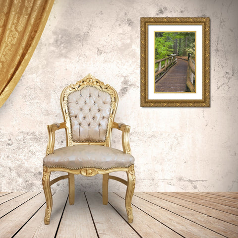 OR, Willamette NF Wooden foot bridge Gold Ornate Wood Framed Art Print with Double Matting by Paulson, Don