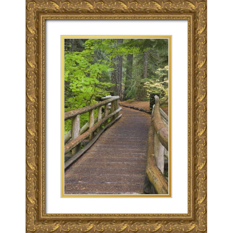 OR, Willamette NF Wooden foot bridge Gold Ornate Wood Framed Art Print with Double Matting by Paulson, Don