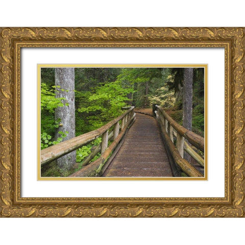 OR, Willamette NF Wooden foot bridge Gold Ornate Wood Framed Art Print with Double Matting by Paulson, Don