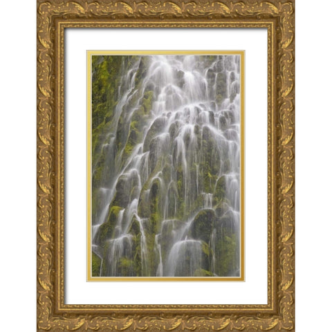 Oregon, Willamette NF View of Proxy Falls Gold Ornate Wood Framed Art Print with Double Matting by Paulson, Don