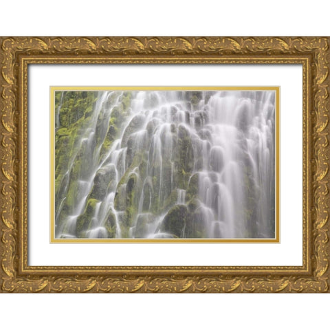 Oregon, Willamette NF View of Proxy Falls Gold Ornate Wood Framed Art Print with Double Matting by Paulson, Don