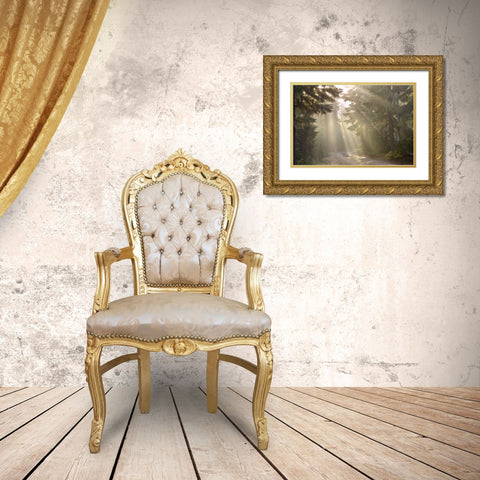 OR, Willamette NF God rays illumine foggy forest Gold Ornate Wood Framed Art Print with Double Matting by Paulson, Don