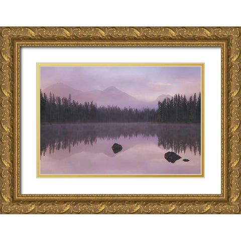 OR, Willamette NF Foggy sunrise on Scott Lake Gold Ornate Wood Framed Art Print with Double Matting by Paulson, Don
