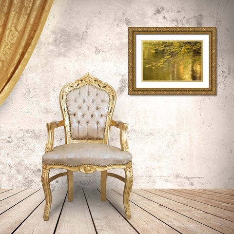 OR, Rogue River NF Vine maple over Rogue River Gold Ornate Wood Framed Art Print with Double Matting by Paulson, Don