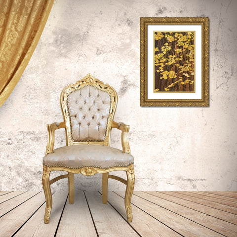 OR, Rogue River NF Vine maple leaves Gold Ornate Wood Framed Art Print with Double Matting by Paulson, Don