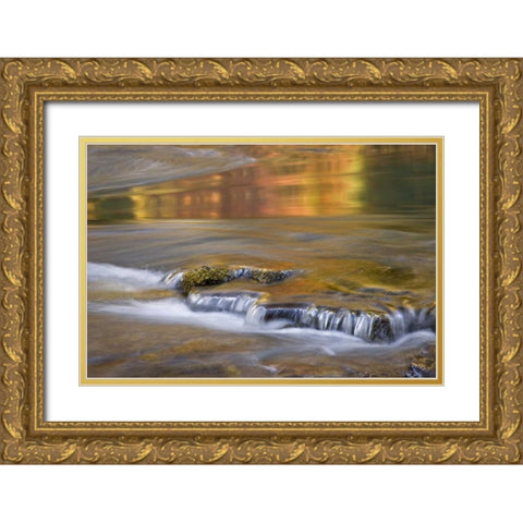 OR, Rogue River NF Autumn reflections Gold Ornate Wood Framed Art Print with Double Matting by Paulson, Don