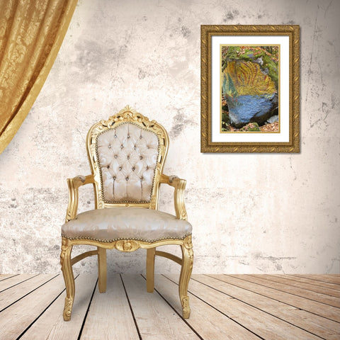 Oregon, Lake Creek Close-up of painted boulder Gold Ornate Wood Framed Art Print with Double Matting by Paulson, Don