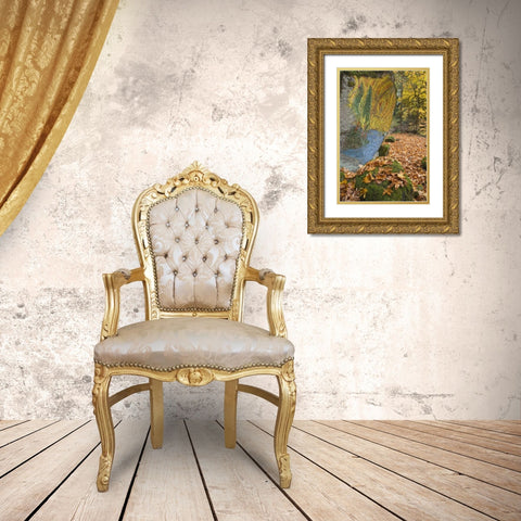 OR, Lake Creek Painted boulder and forest trail Gold Ornate Wood Framed Art Print with Double Matting by Paulson, Don
