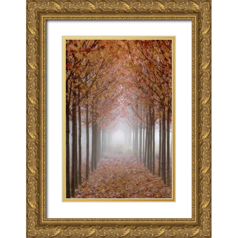 OR, Willamette Valley Autumn-colored maple trees Gold Ornate Wood Framed Art Print with Double Matting by Paulson, Don