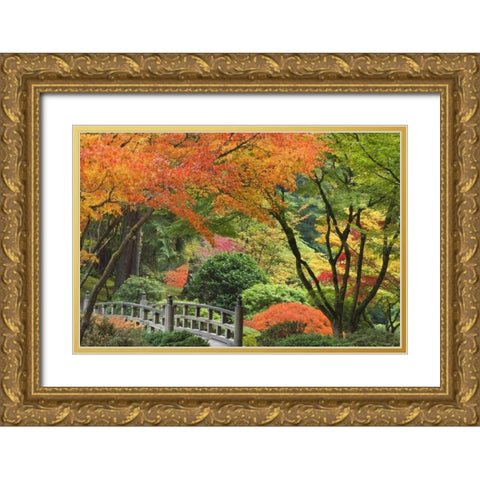 Oregon, Portland Bridge and maple tree in autumn Gold Ornate Wood Framed Art Print with Double Matting by Paulson, Don