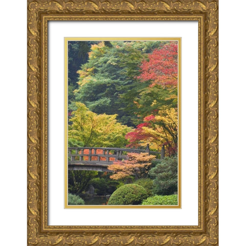 Oregon, Portland Wooden bridge over pond Gold Ornate Wood Framed Art Print with Double Matting by Paulson, Don