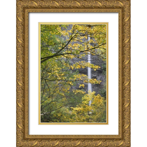 OR, Columbia Gorge Latourell Falls in autumn Gold Ornate Wood Framed Art Print with Double Matting by Paulson, Don