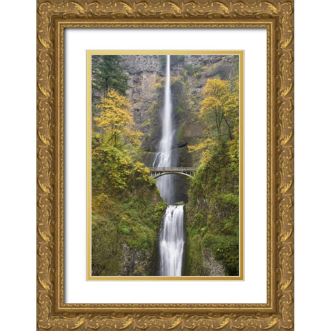 OR, Columbia Gorge Bridge by Multnomah Falls Gold Ornate Wood Framed Art Print with Double Matting by Paulson, Don