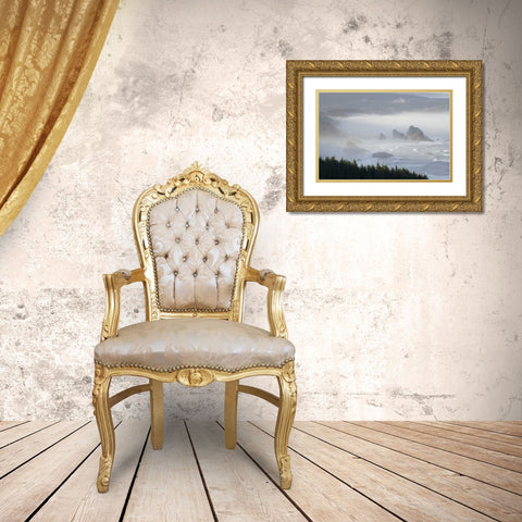 Oregon, Gold Beach Foggy morning on seashore Gold Ornate Wood Framed Art Print with Double Matting by Kaveney, Wendy