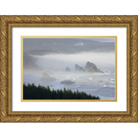 Oregon, Gold Beach Foggy morning on seashore Gold Ornate Wood Framed Art Print with Double Matting by Kaveney, Wendy