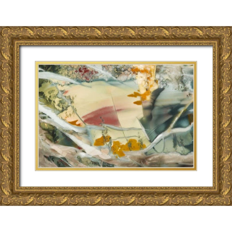 Oregon, Owyhee River Valley Morrisonite Jasper Gold Ornate Wood Framed Art Print with Double Matting by Kirkland, Dennis