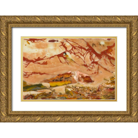 Oregon, Owyhee River Valley Morrisonite Jasper Gold Ornate Wood Framed Art Print with Double Matting by Kirkland, Dennis