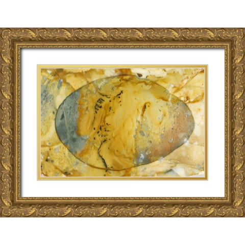 Oregon, Owyhee River Valley Morrisonite Jasper Gold Ornate Wood Framed Art Print with Double Matting by Kirkland, Dennis