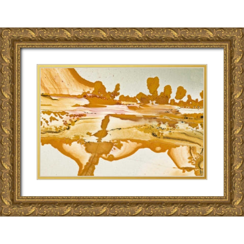 Oregon Close-up of Owyhee Picture Jasper stone Gold Ornate Wood Framed Art Print with Double Matting by Kirkland, Dennis