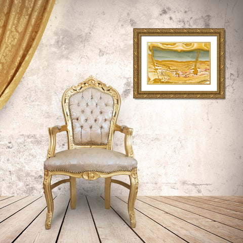 Oregon Close-up of Owyhee Picture Jasper stone Gold Ornate Wood Framed Art Print with Double Matting by Kirkland, Dennis