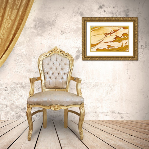 Oregon Close-up of Owyhee Picture Jasper stone Gold Ornate Wood Framed Art Print with Double Matting by Kirkland, Dennis