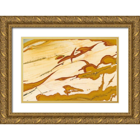Oregon Close-up of Owyhee Picture Jasper stone Gold Ornate Wood Framed Art Print with Double Matting by Kirkland, Dennis