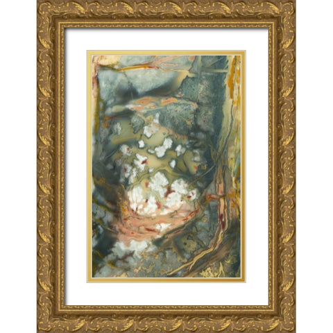Oregon, Owyhee River Valley Morrisonite Jasper Gold Ornate Wood Framed Art Print with Double Matting by Kirkland, Dennis