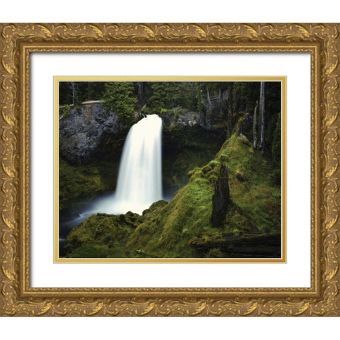 OR, Cascades Waterfall on the McKenzie River Gold Ornate Wood Framed Art Print with Double Matting by Flaherty, Dennis