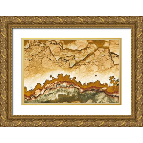 Oregon, Rocky Butte Picture jasper stone Gold Ornate Wood Framed Art Print with Double Matting by Kirkland, Dennis