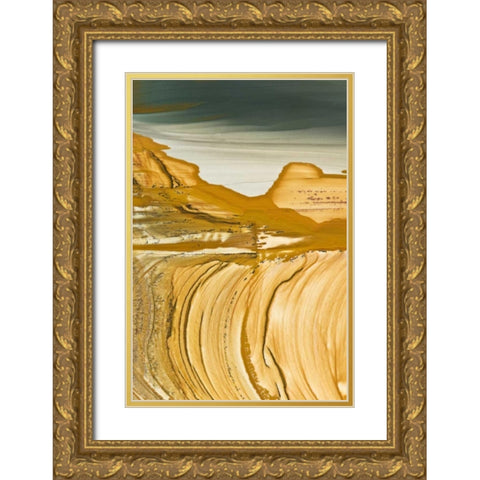 Oregon, Owyhee Close-up of picture jasper stone Gold Ornate Wood Framed Art Print with Double Matting by Kirkland, Dennis