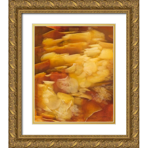 USA, Oregon Close-up of red flake agate stone Gold Ornate Wood Framed Art Print with Double Matting by Kirkland, Dennis